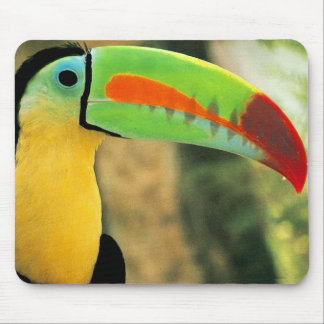 Toucanのマウスパッド マウスパッド