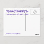 Toucanの郵便はがき ポストカード (裏面)