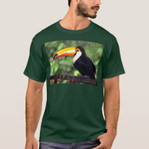 「Toucan」の暗闇