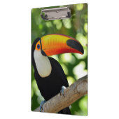 Toucan クリップボード (左)