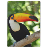 Toucan クリップボード (裏面)