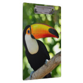 Toucan クリップボード (右)