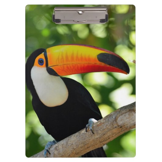 Toucan クリップボード (正面)