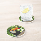 Toucan コースター (側面)