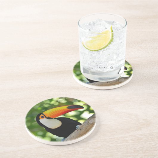 Toucan コースター (側面)