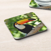 Toucan コースター (左側)