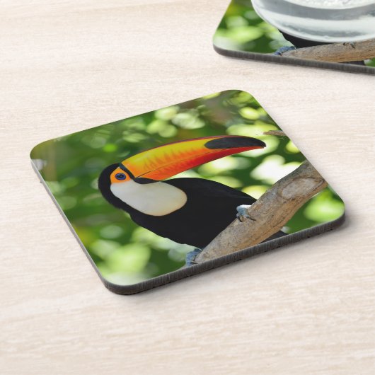 Toucan コースター (左側)