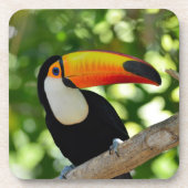 Toucan コースター (正面)