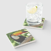 Toucan ストーンコースター (横)