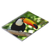 Toucan ノートブック (左側)