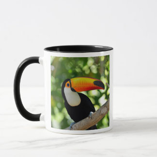 Toucan マグカップ
