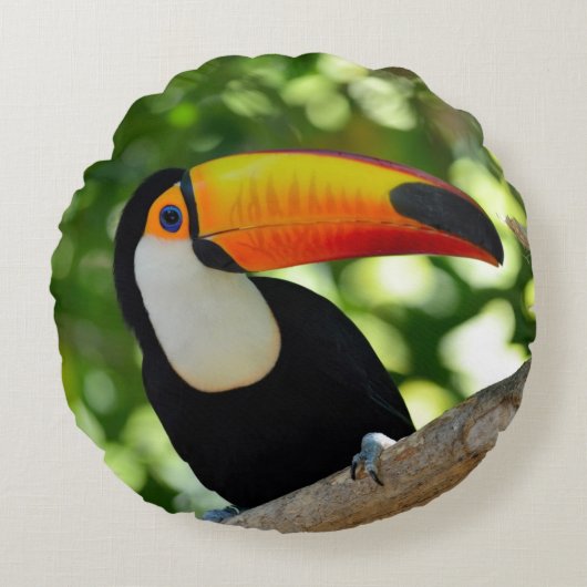 Toucan ラウンドクッション (正面)