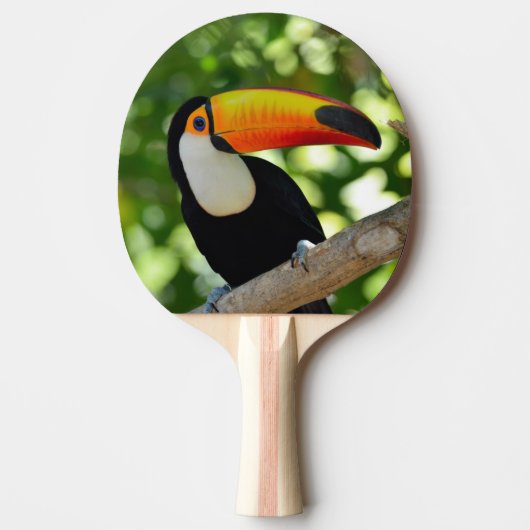 Toucan 卓球ラケット (正面)