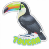TOUCAN -子供部屋シール シール (正面)