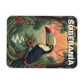 Toucan in Soberania National Park Panama  マグネット (横)