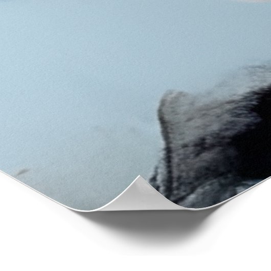 touchしない私の髪の黒メラニンアフロクイーンクラウン ポスター (角)