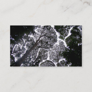 touchの木の美化無し 名刺