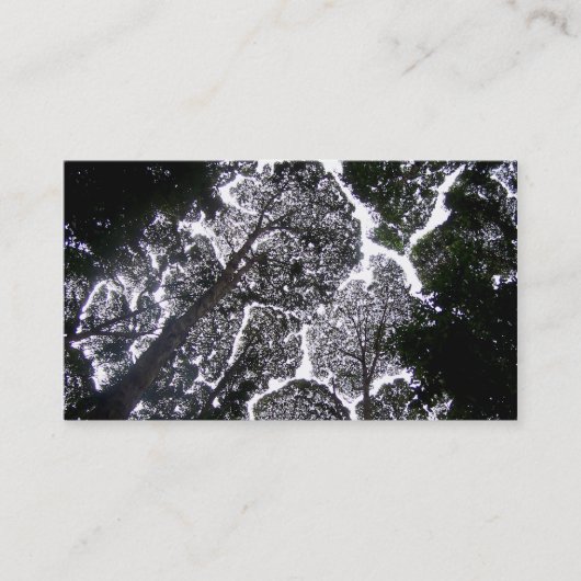 touchの木の美化無し 名刺 (正面)