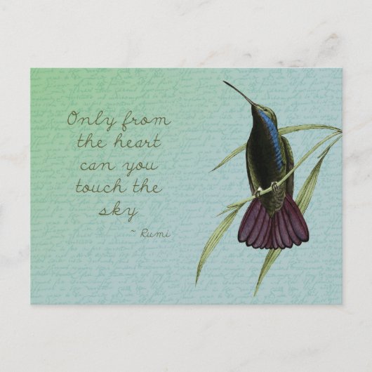 Touchザスカイハミングバード ポストカード (正面)