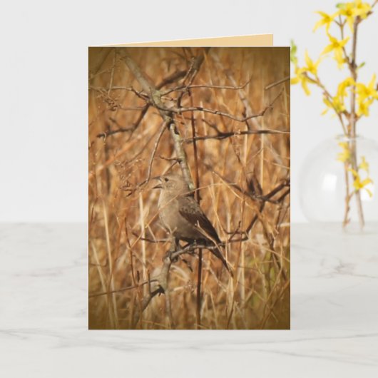 Touch保で自然愛の友と！ カード (黄色い花)