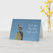 touch保カードにカモメが入っている カード (黄色い花)