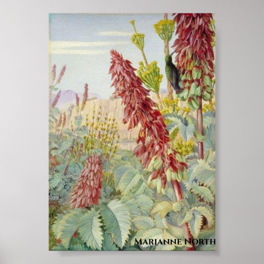 Touch私ではない花と砂糖鳥、タルバ ポスター (正面)