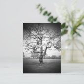 Touch葉… ポストカード (スタンド正面)