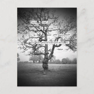 Touch葉… ポストカード