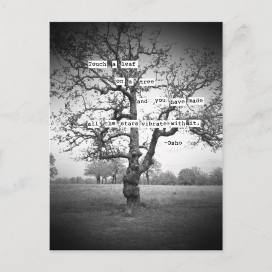 Touch葉… ポストカード (正面)