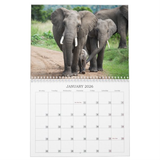 Touch:ワイルドアフリカ暦2022 カレンダー (1月 2026)