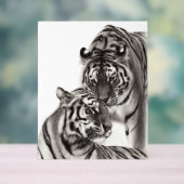 Touch – 手絵を描オリジナル虎のアートワーク アクリルサイン (ニュートラル)