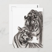 Touch – 手絵を描オリジナル虎のアートワーク ポストカード (正面/裏面)
