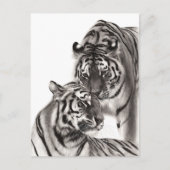 Touch – 手絵を描オリジナル虎のアートワーク ポストカード (正面)