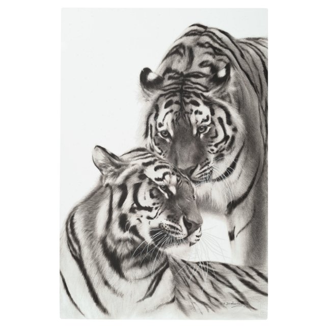 Touch – 手絵を描オリジナル虎のアートワーク メタルプリント (正面)