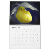 Touch Of Color Flowers And Nature カレンダー (2月 2026)