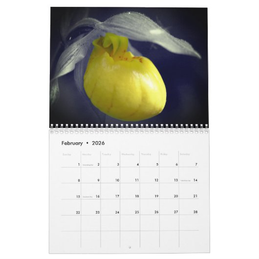 Touch Of Color Flowers And Nature カレンダー (2月 2026)