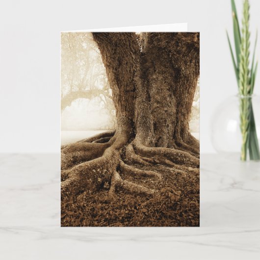 Touching_Earth_MW1104 カード (正面)