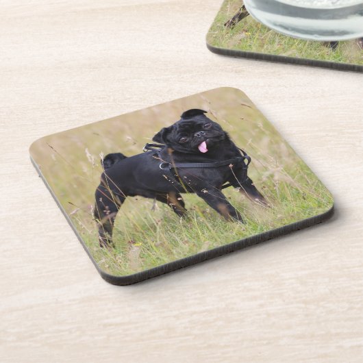 Toungeを突き出る黒いパグ コースター (左側)