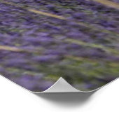 Tour de France dans les lavandes ポスター (角)