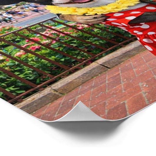 "Tourists" ポスター (角)