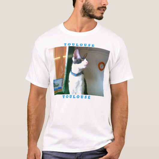 Touzou Tシャツ (正面)