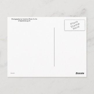 Tower of Londonポストカード ポストカード