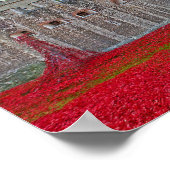 Tower Of London Poppies Red Poppy ポスター (角)