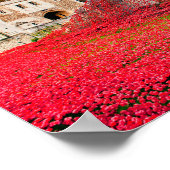 Tower Of London Poppies Red Poppy ポスター (角)