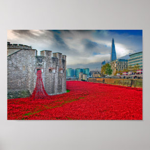 Tower of London Red Poppies England UK ポスター