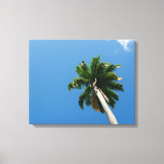 Towering Tropical Palm Tree Against a Bright Sky キャンバスプリント