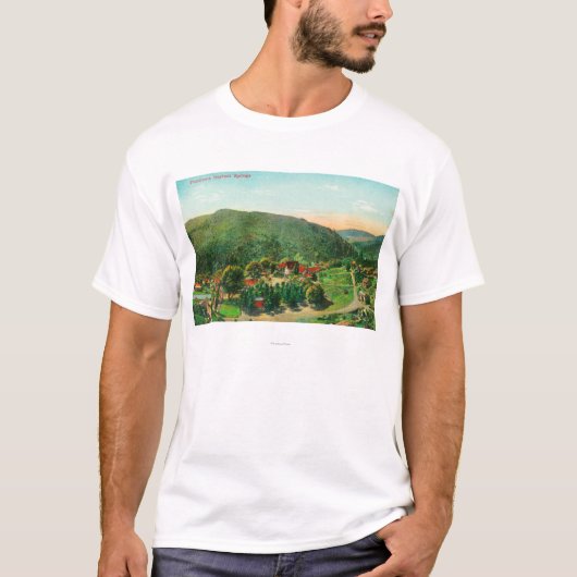 TownBartlettの春の空中写真、カリフォルニア Tシャツ (正面)
