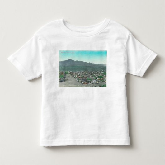 TownHuntingtonの空中写真、または トドラーTシャツ (正面)
