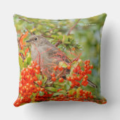 Townsend's Solitaire Songbird on Pyracantha クッション (裏面)