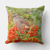 Townsend's Solitaire Songbird on Pyracantha クッション (正面)